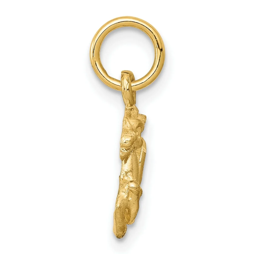10k Solid Yellow Gold Capricorn Zodiac Charm 18mm x 10mm side
