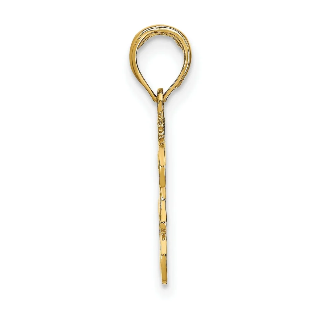 14k Solid Yellow Gold Leo Zodiac Symbol Pendant Charm side